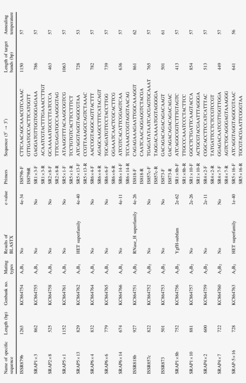 Scar Primers Developed In This Study - Number, transparent png download