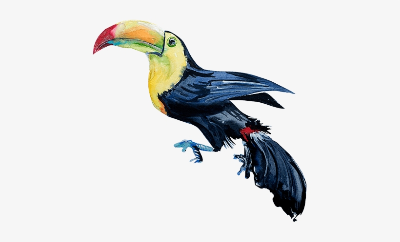 View More - Illustration, transparent png download