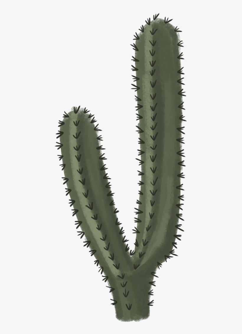 Cactus Clipart Free Clipart Images - Cactus Transparent, transparent png download