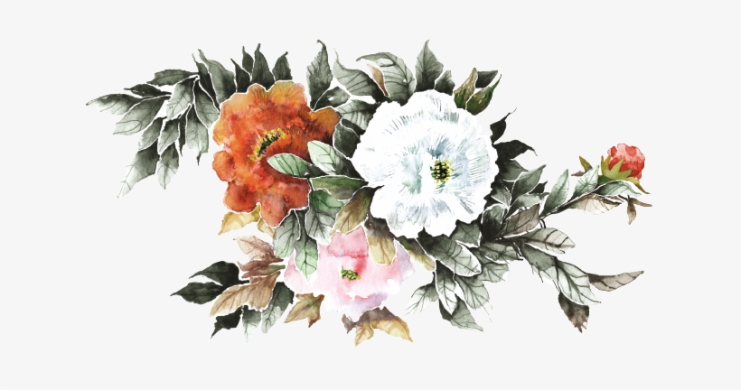 Coca I Fitó Negre - Coca I Fito, transparent png download