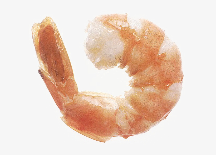 Shrimp Png Download Image - Jumbo Shrimp Size, transparent png download
