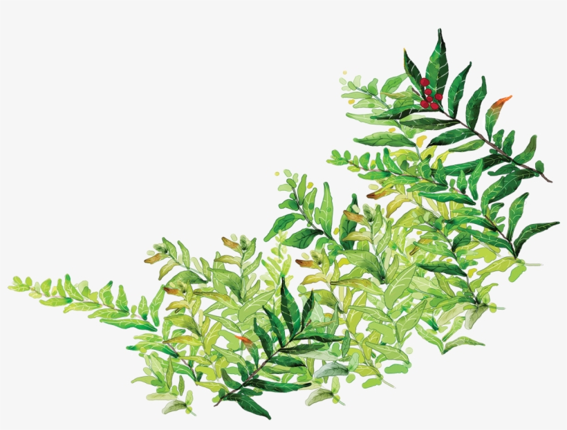 Report Abuse - Clip Art, transparent png download