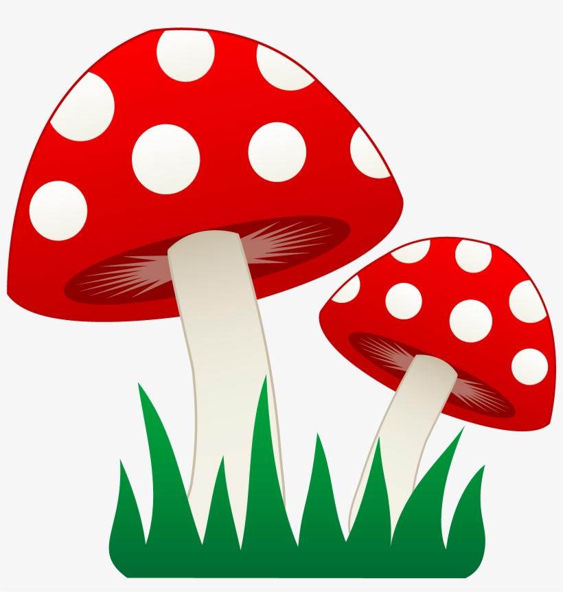 Fungi Clipart Clipart - Mushroom Clipart, transparent png download