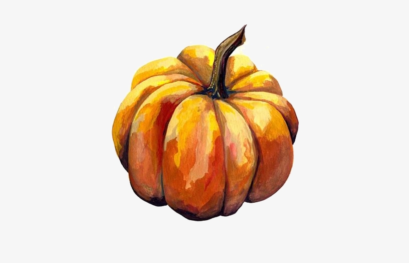 Avoid It At All Costs But At The Behest Of A Beautiful Pumpkin Drawing Watercolour Transparent Png 442x480 Free Download On Nicepng