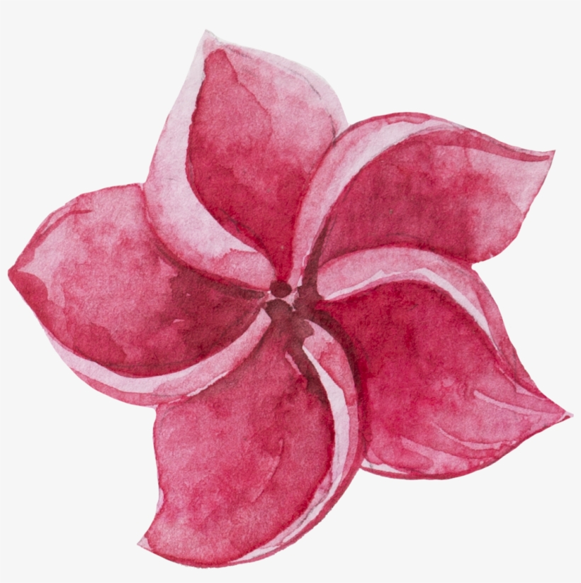 Watercolour Watercolor Sticker Ftestickers Flowers - Watercolor Painting, transparent png download