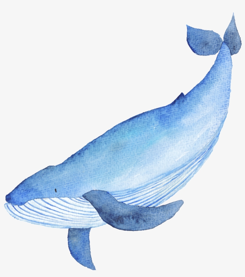 Blue Hand Drawn Whale Cartoon Watercolor Png - Illustration Of Whale, transparent png download