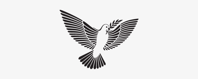 Svg Black And White Download The And Png For Free Download - Drawing, transparent png download