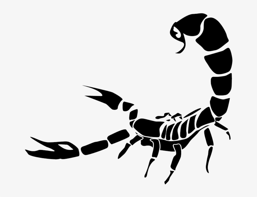 Scorpion - Scorpion Png, transparent png download