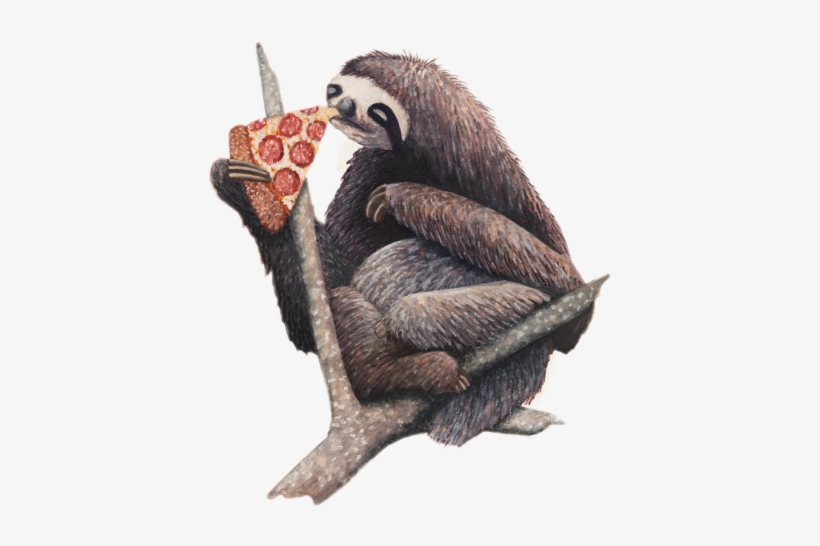 Sloth Pizza, transparent png download