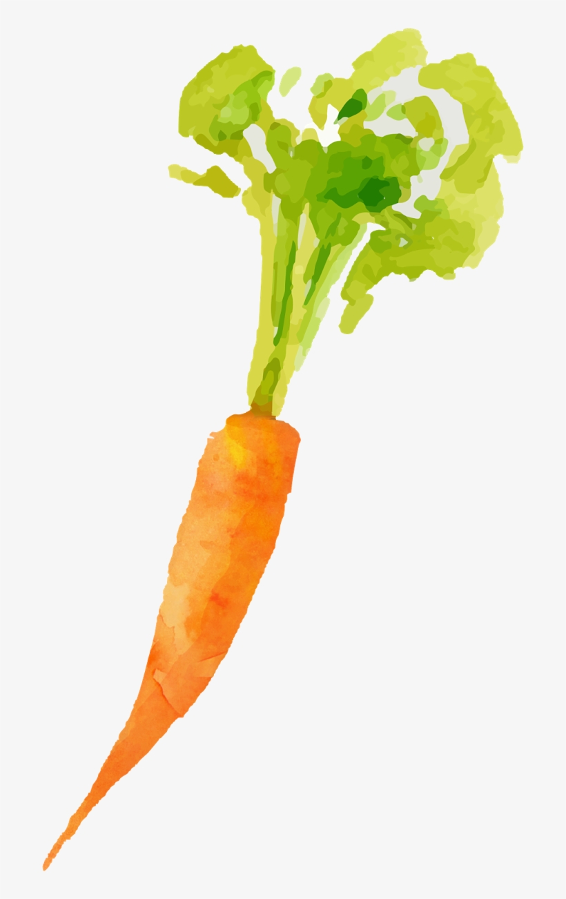 I Have The Video With Step By Step Instructions Below - Carrot, transparent png download