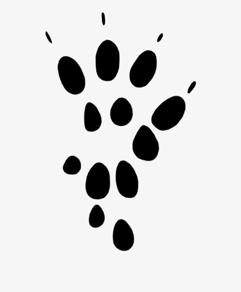 Mouse Klise Thegreaterchurch Co - Mouse Paw, transparent png download