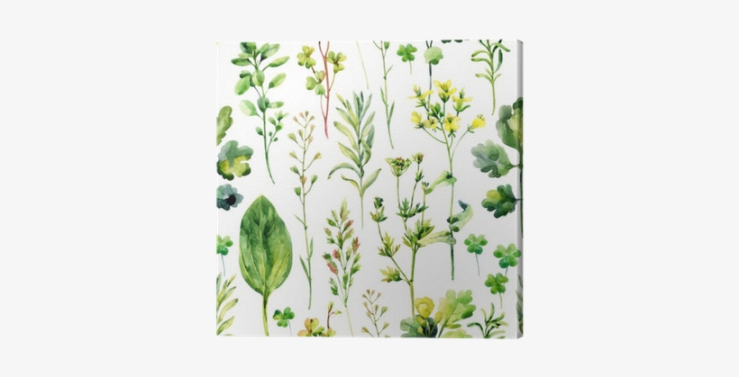 Watercolor Meadow Weeds And Herbs Seamless Pattern - Herbs Background, transparent png download