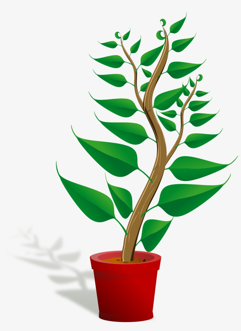 Pot On Stove Clipart, Vector Clip Art Online, Royalty - Getting To Know Plants, transparent png download