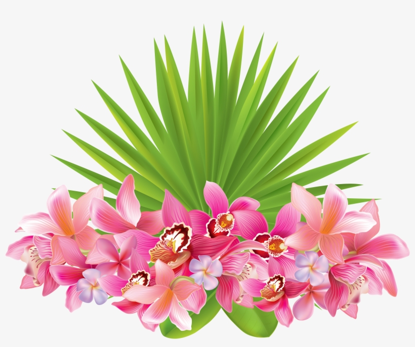 Summer Tropical Watercolor Clipart, Parrot Tropical - Tag Tropical Png, transparent png download