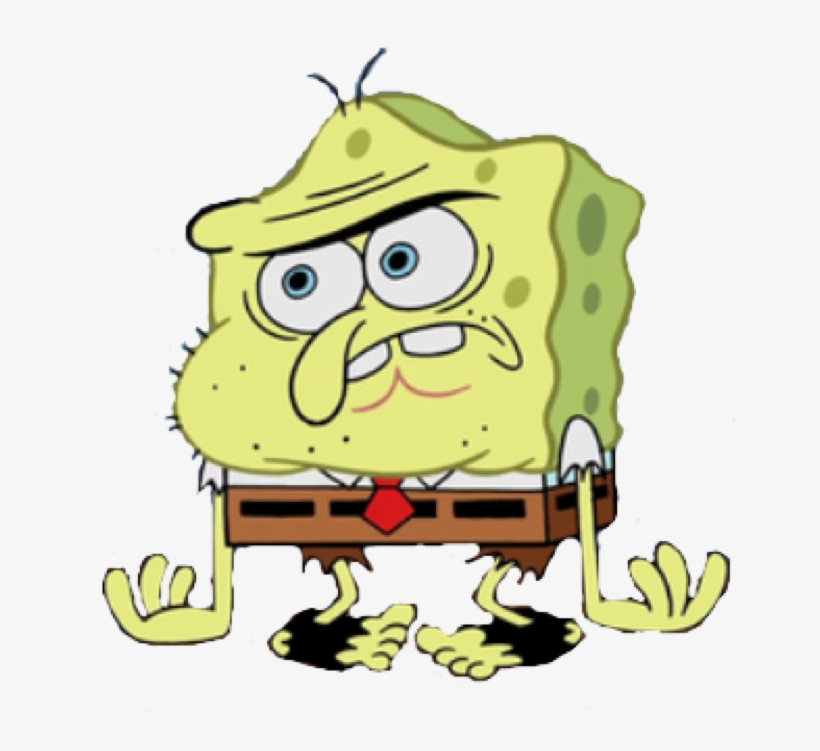 Spongy Spongy - Spongebob Spongy, transparent png download