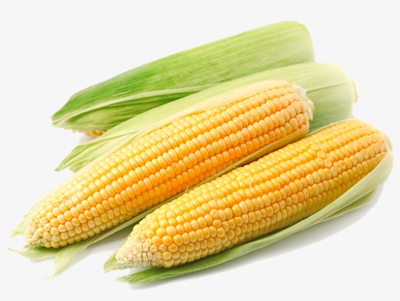 Corn Png File - Corn Png Transparent, transparent png download