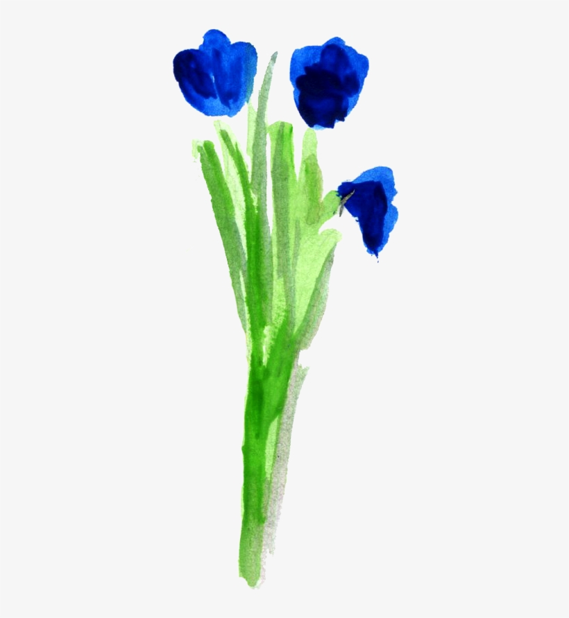 My Process Included Sketching The Illustration Out - Watercolor Paint, transparent png download