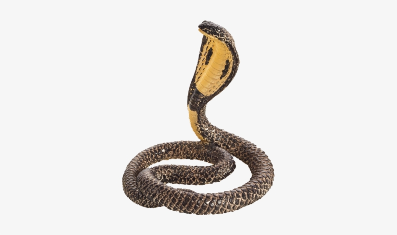 Cobra - Cobra Toys, transparent png download