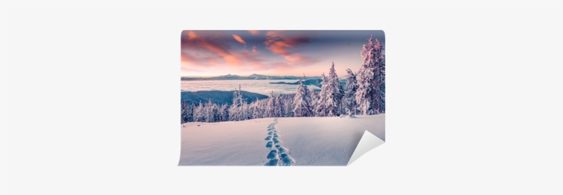 Foggy Winter Sunrise In The Snowy Mountain Wall Mural - Snow, transparent png download
