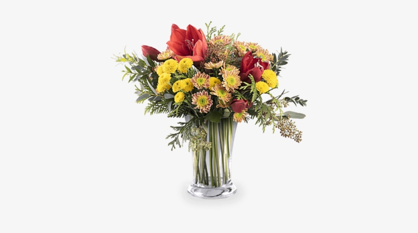 Red Amaryllis And Chrysanthemum - Chrysanthemum, transparent png download