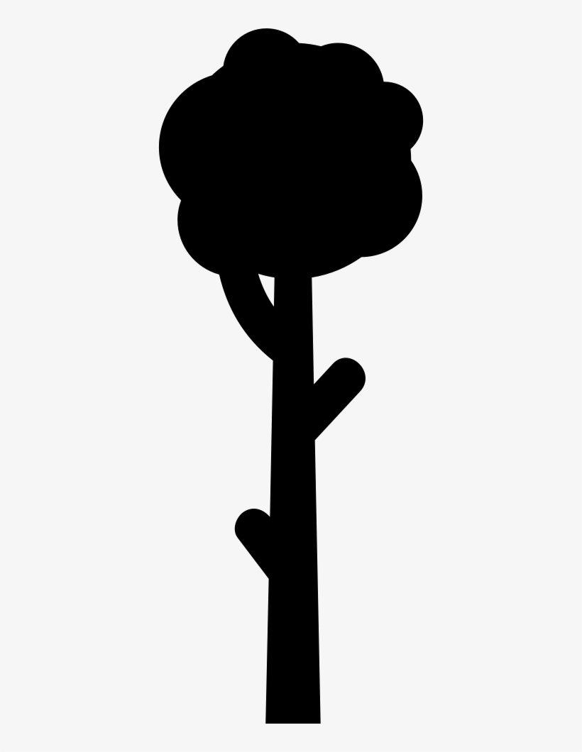 Tall Tree Comments, transparent png download