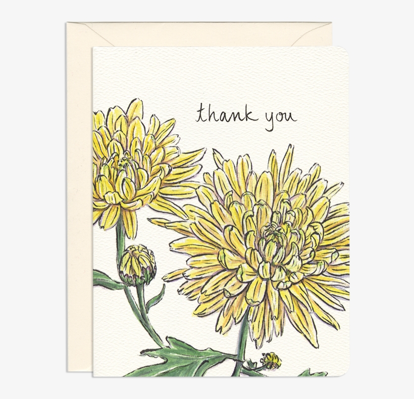 Chrysanthemum Thank You - Greeting Card, transparent png download