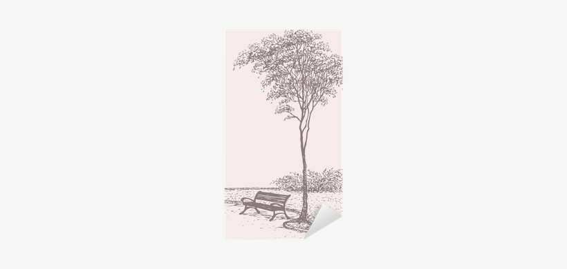 Bench In Park Near A Tall Tree Sticker • Pixers® • - Vector Graphics, transparent png download