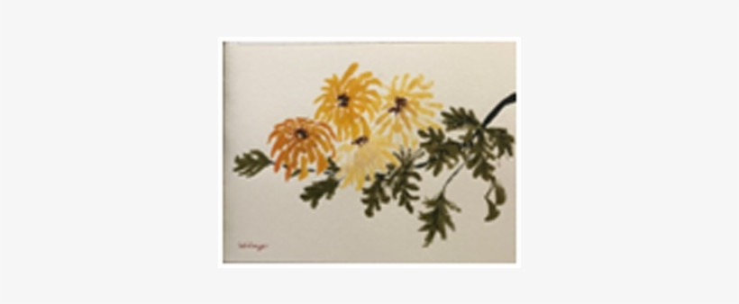 Chrysanthemum, transparent png download