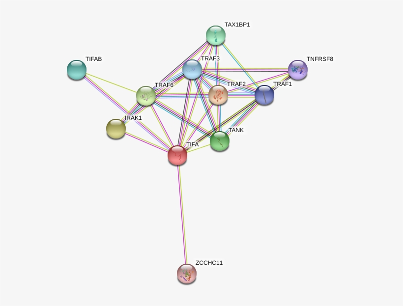 Circle, transparent png download