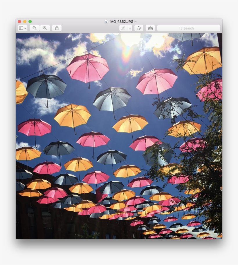 Once The Image Is Open, Click Tools → Show Inspector - Umbrella, transparent png download