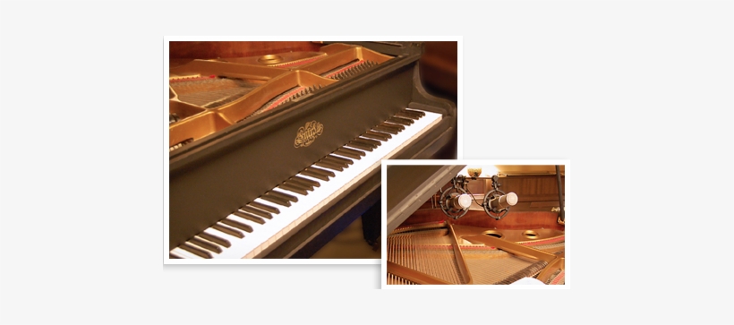 Erard Baby Grand Piano - Roland Piano Plus 400 Price, transparent png download