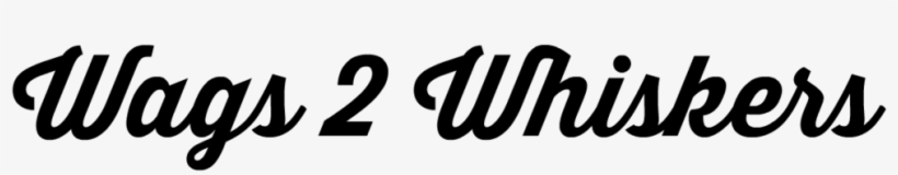 W2w Png, transparent png download