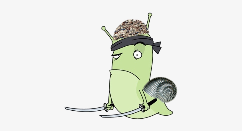 Secretly Hoping To See A Tin Foil Ninja Snail - Cartoon, transparent png download
