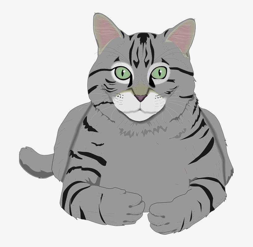 Whiskers Clipart Gray - Grey Tabby Cat Cartoon Transparent PNG