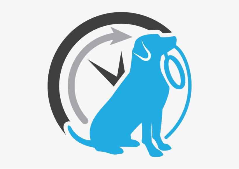 Client Spotlight Whiskers At Home, - Pet Service Icon Png, transparent png download