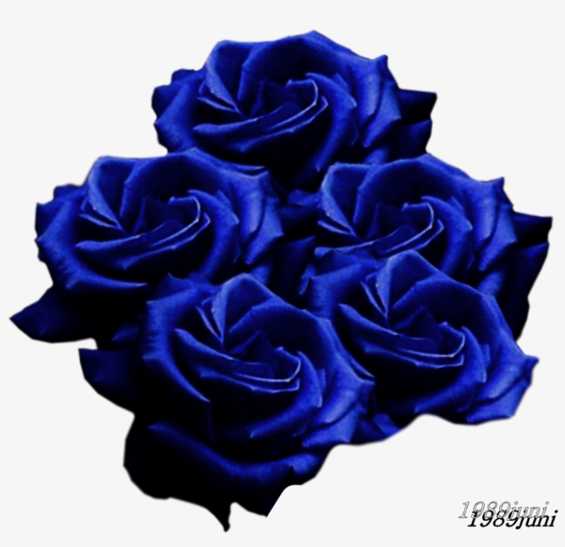 Blue Roses Png - Diy Diamond Painting Cross Stitch Kit Diamond Embroidery, transparent png download