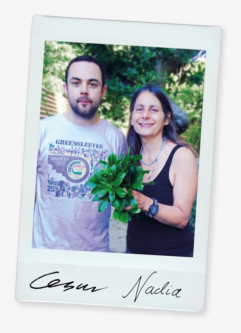 The Ice Kitchen, transparent png download