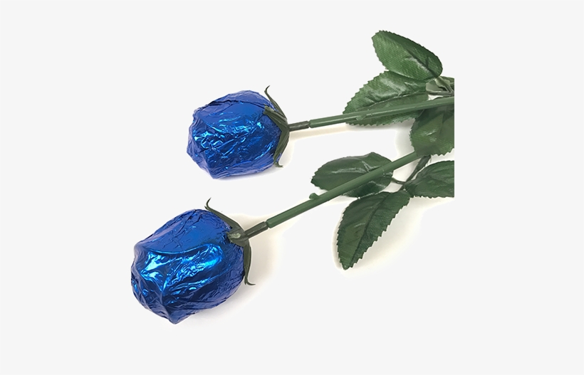 Royal Blue Foiled Belgian Chocolate Color Splash Roses - Transparent Roses Royal Blue, transparent png download
