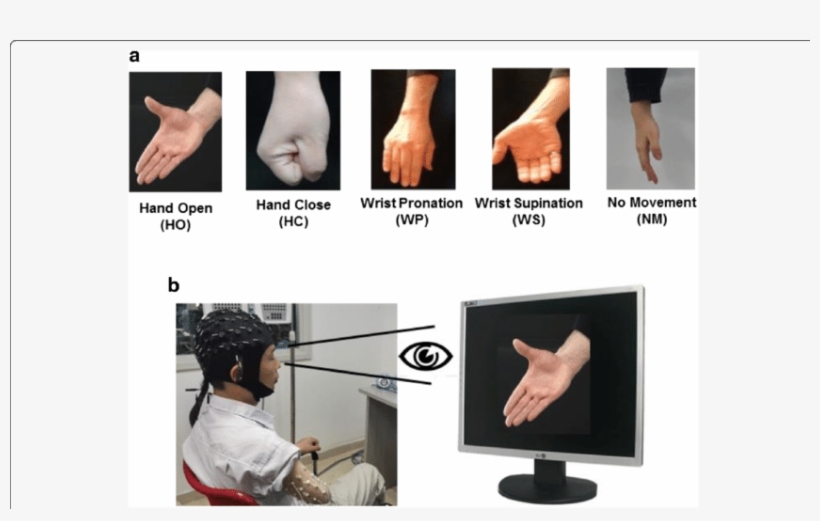 Download - Film, transparent png download