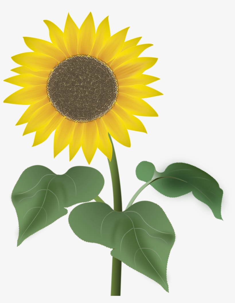 I Took Quite Some Time To Do This Drawing, Especially - プルーム テック マウス ピース, transparent png download