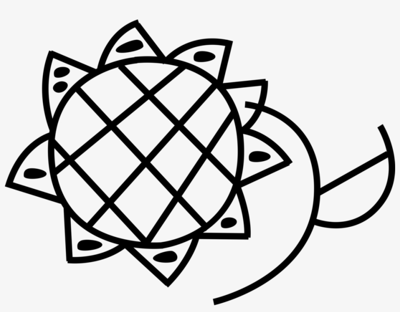 Vector Illustration Of Sunflower Garden Flower Plant - Illustration, transparent png download