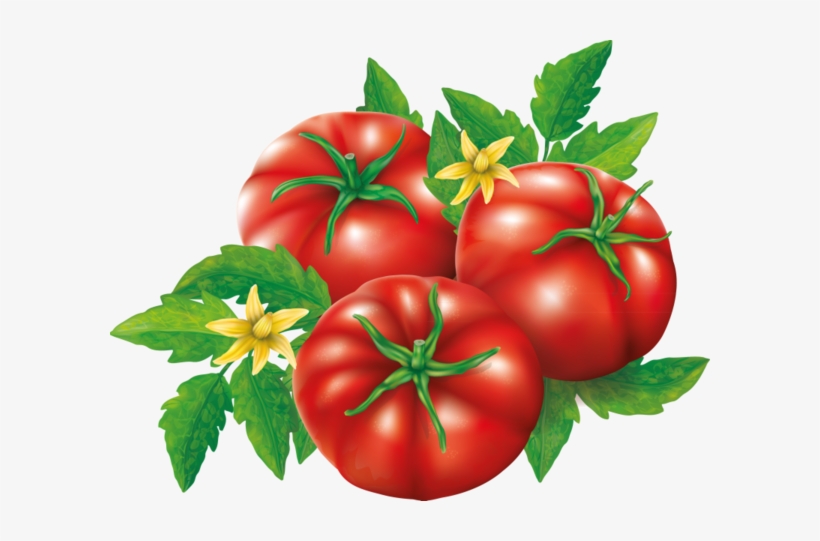 Comida, Frutas Bebidas Etc - Tomato, transparent png download