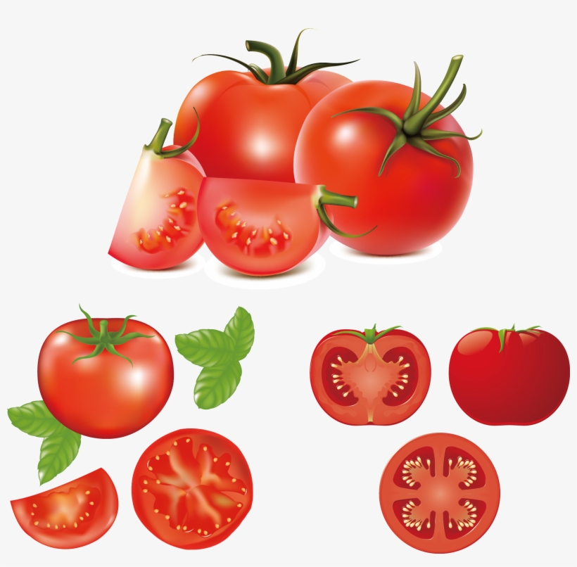 Hamburger Caprese Salad Clip Art Fresh Tomatoes - Tomato Vector, transparent png download