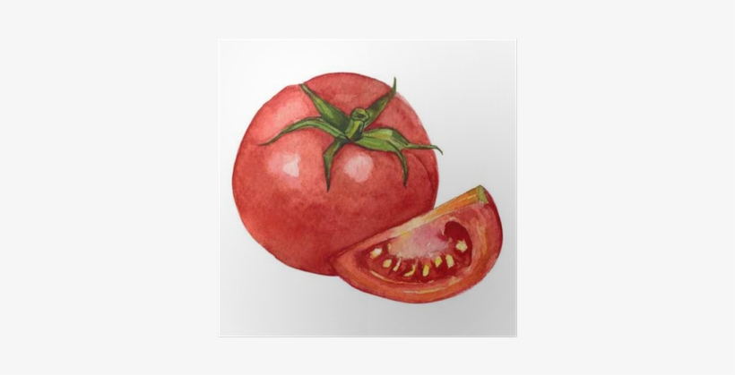 Tomate Gezeichnet, transparent png download