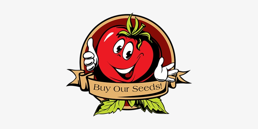 New Online Store - Imagen De Tomate En Dibujo, transparent png download
