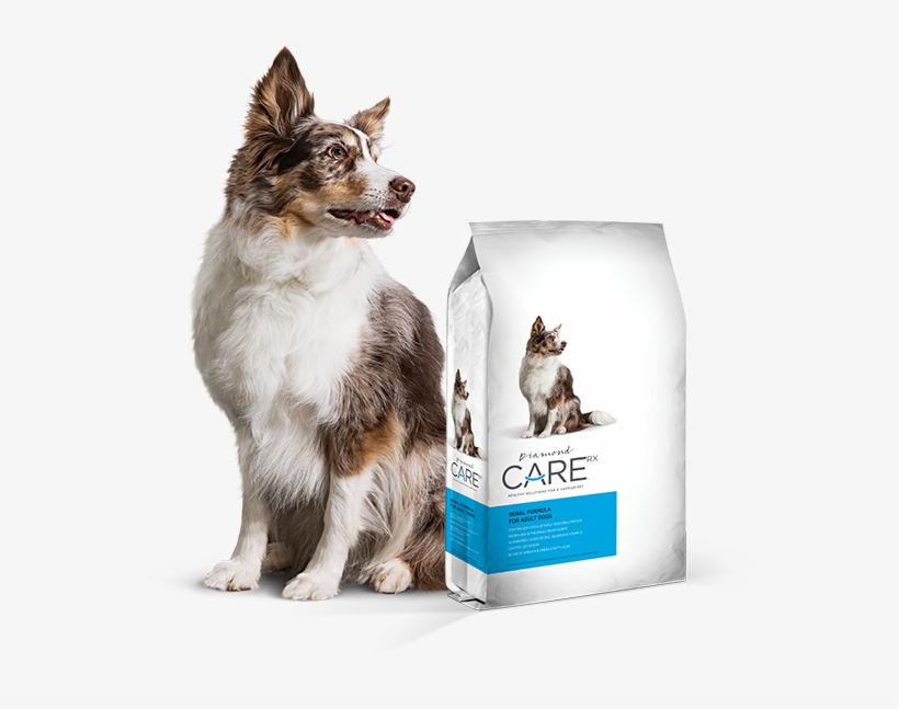 Prescription Renal Dog Food - Diamond Care Renal Dog, transparent png download