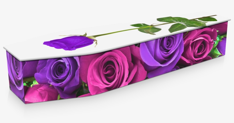 See More Pink & Purple Roses - Jason Killick Funerals, transparent png download