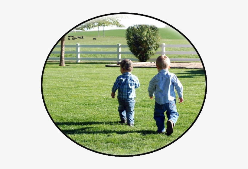 Country Boys Landscape, Llc, transparent png download