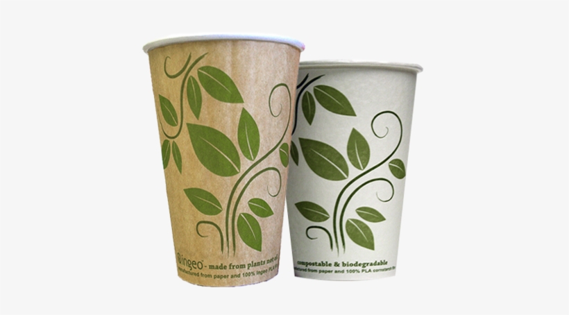 Compostable Cups Are The Future Of Paper Coffee Cups - Flowerpot, transparent png download