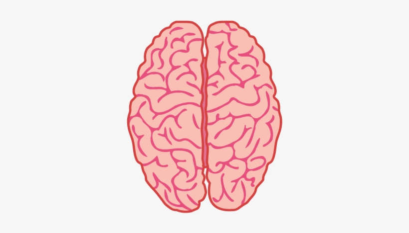 View, Total - Types Of Brain Haemorrhage, transparent png download